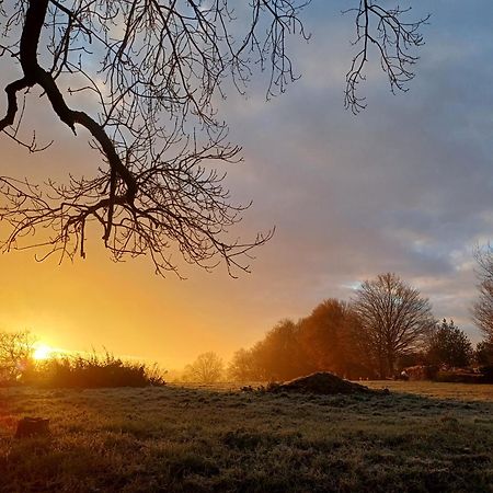 La Chamallow Coeur D'Artichaud Dinant Dış mekan fotoğraf